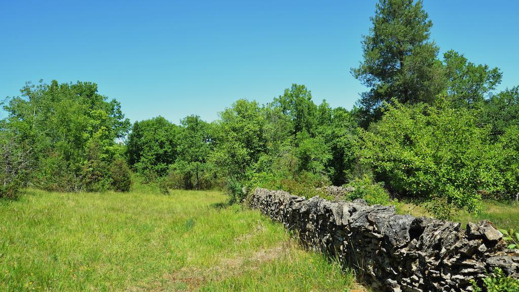 Gites De Combarel Corn Oda fotoğraf